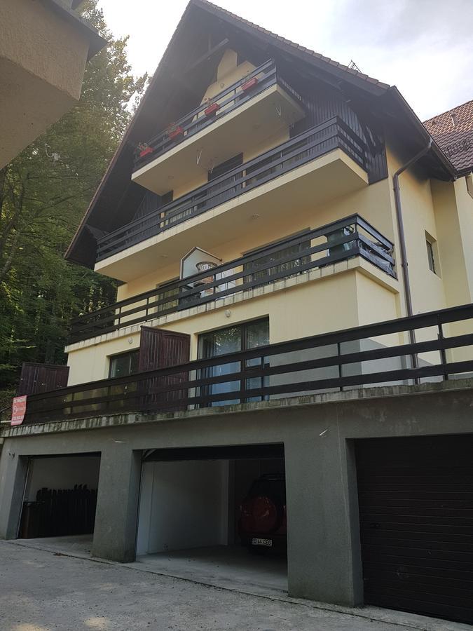 Apartament Kalinderu K2 Busteni Ngoại thất bức ảnh